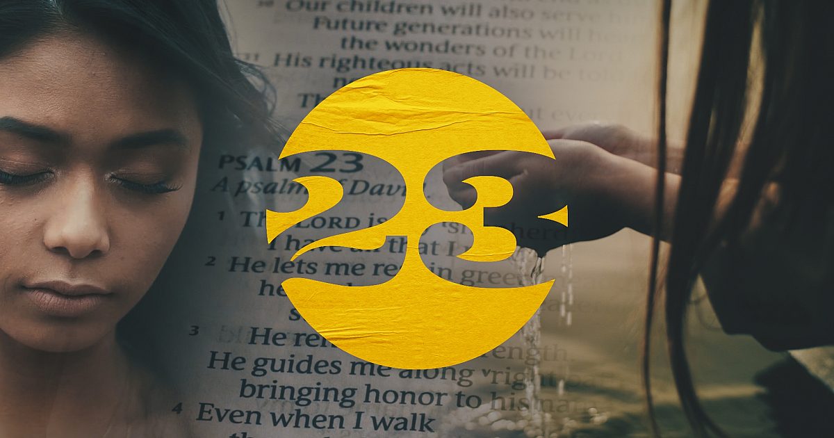 23