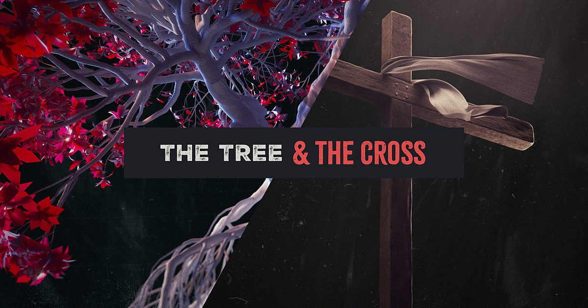 Tree Vs Cross The Tree And The Cross