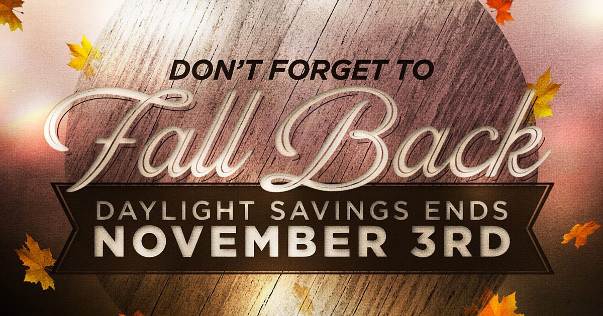 Fall Backfronad Woodgrain Fall Back | Motion Video Background