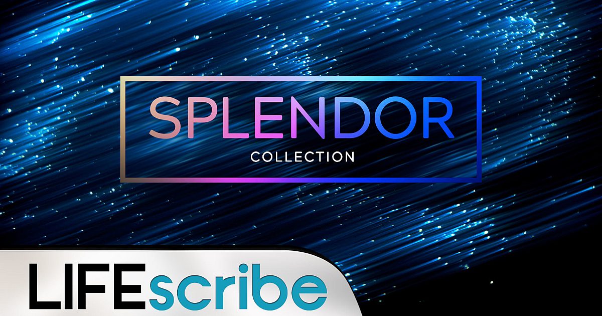Profile Splendor Splendor Collection