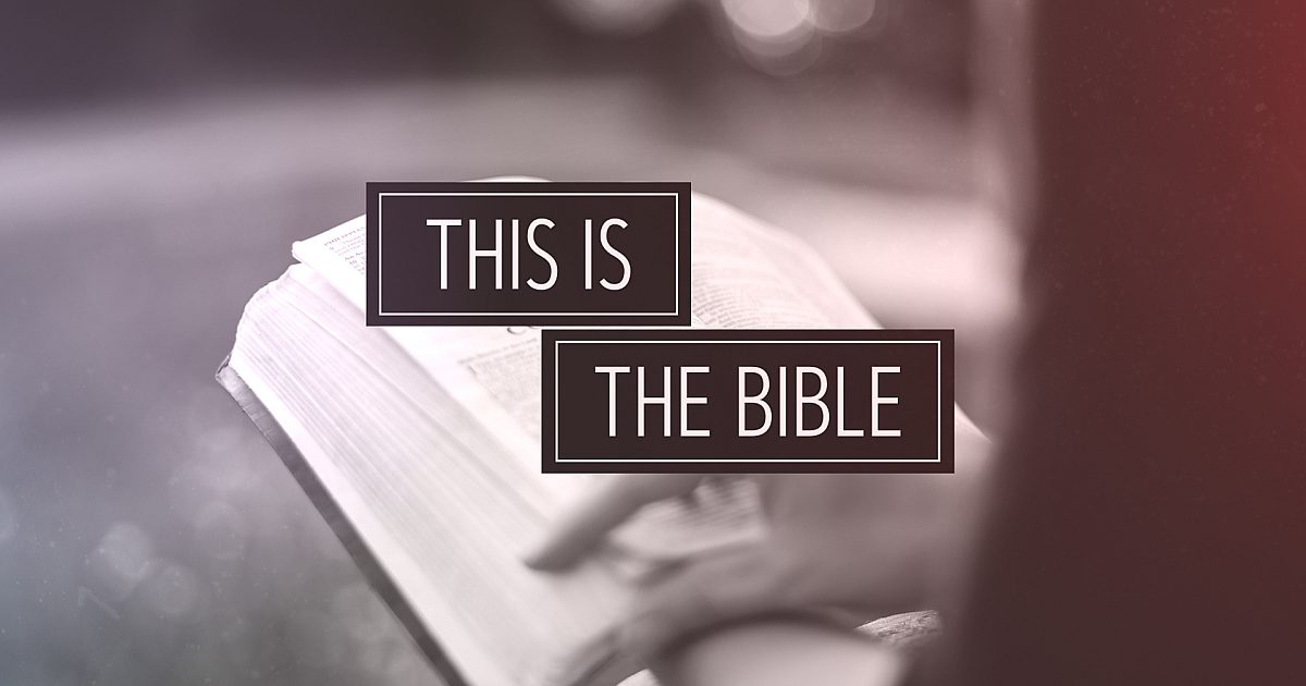 That Bibble This Is The Bible