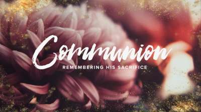 Spring Gold Communion