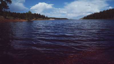 Nature Walk Panorama