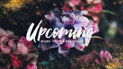 Spring Gold Upcoming