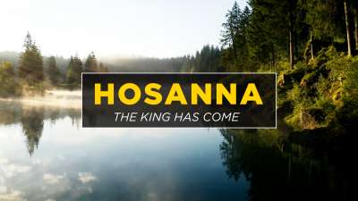 Hosanna! The King Has Come