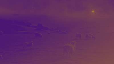 Amber Christmas Sheep