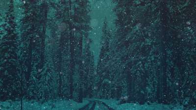 Christmas Cheer Forest