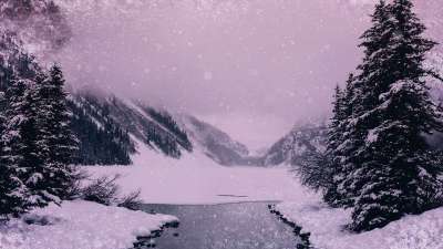 Christmas Cheer Frozen