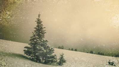 Christmas Cheer Tree