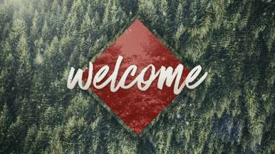 Christmas Forest Welcome