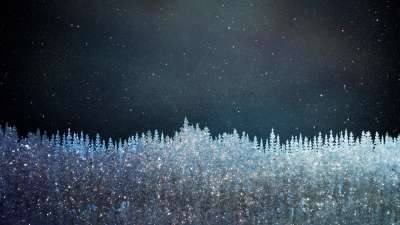 Christmas Sparkle 12