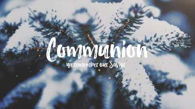 Christmas Textures Communion