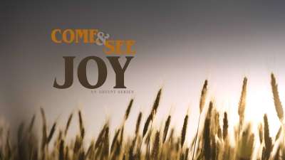 Come And See Joy