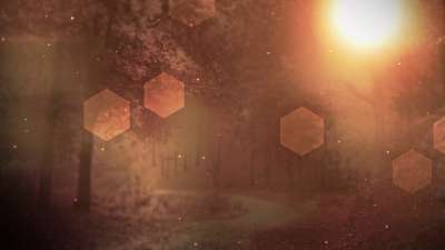 Fall Background 2 Loop Vol4