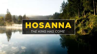 Hosanna! The King Has Come