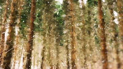 Let It Snow Early Winter