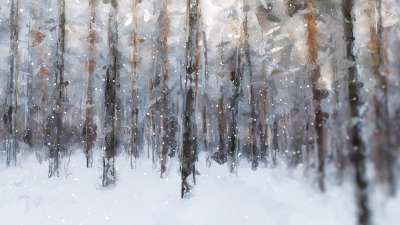 Let It Snow Forest