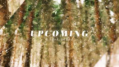 Let It Snow Upcoming