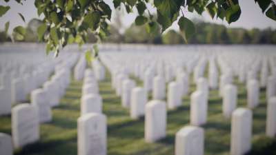 Military Cemetery Leaves Wind