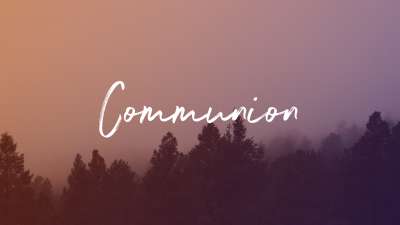 Misty Forest Communion