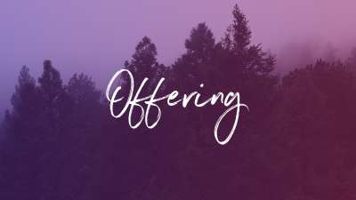 Misty Forest Offering