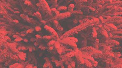 Modern Winter Trees 01