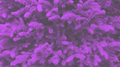 Modern Winter Trees 03