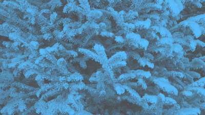 Modern Winter Trees 04