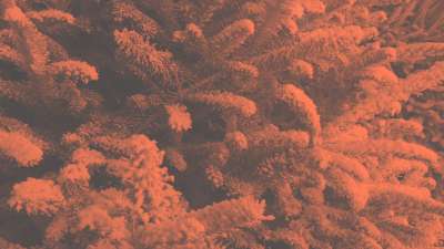 Modern Winter Trees 05