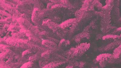 Modern Winter Trees 06