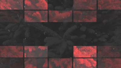 Modern Winter Trees 07