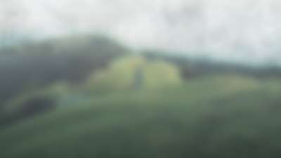 Muted Landscapes Bluff