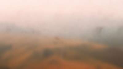 Muted Landscapes Field