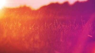 Natural Light Horizon