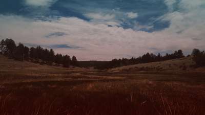 Nature Walk Grassland