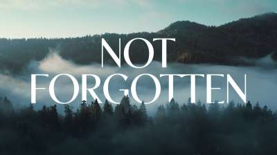 Not Forgotten