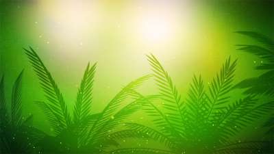 Palm Sunday Vol 2 Background 1