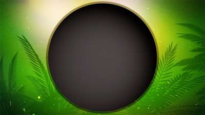 Palm Sunday Vol 2 Blank