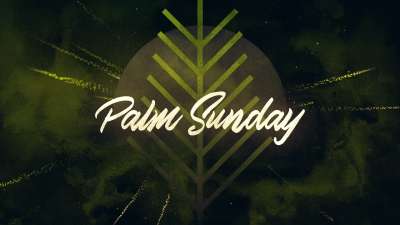 Particle Rays Palm Sunday Title