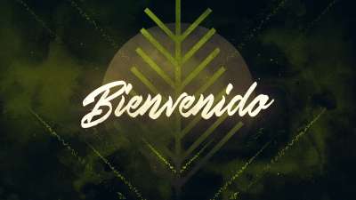 Particle Rays Palm Sunday Welcome (Spanish)