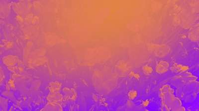 Radiant Gradient Flowers 03