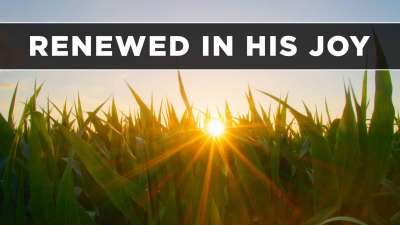 Renewed in His Joy