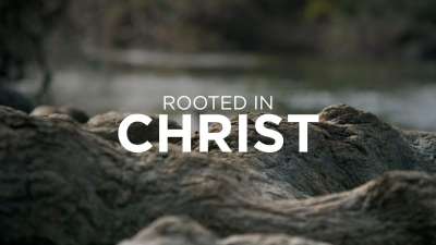 Rooted in Christ