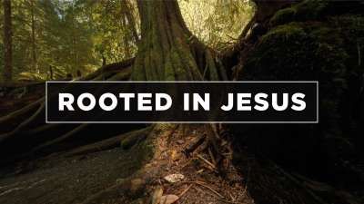 Rooted In Jesus