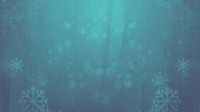 Rustic Winter Snow 05