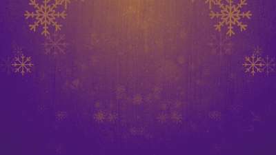 Rustic Winter Snow 08