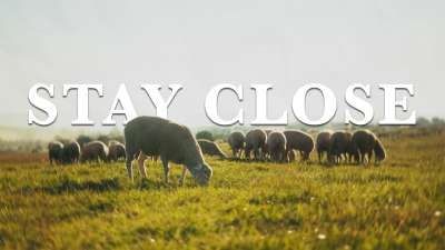 Stay Close