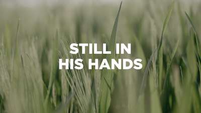 Still in His Hands