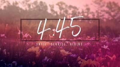 Wildflower Countdown