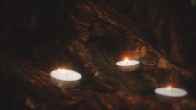 Willow Lights Awaken